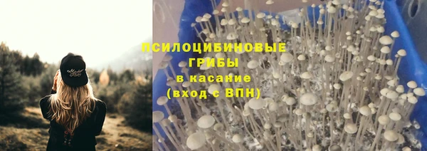 таблы Алексеевка