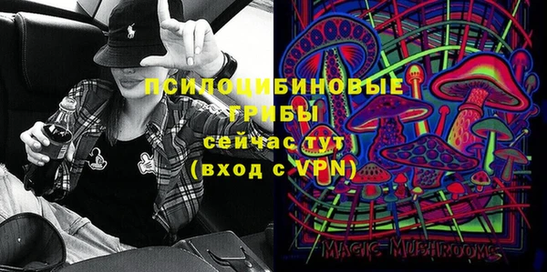 2c-b Алзамай
