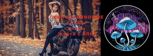 таблы Алексеевка