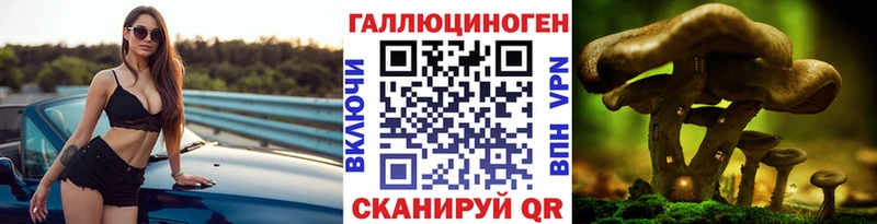 гидра ссылки  Калтан  Псилоцибиновые грибы ЛСД 